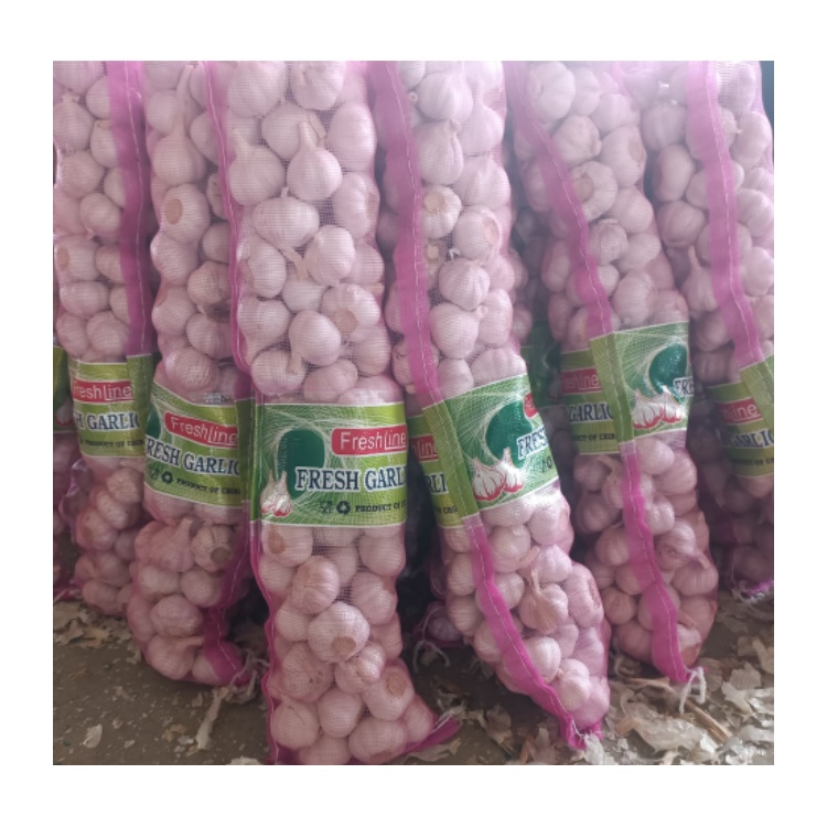 Семена чеснока нового урожая для посадки чеснока Alho Bawang Putih органический чеснок свежие овощи лук Ajo Chino для Дубая