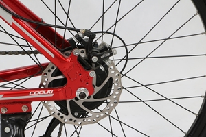 Batteria al litio Mountain bike 26 pollici 180 KG 30-35 km/h 21 velocità nuova tecnologia Mountain bike - Product Image 2