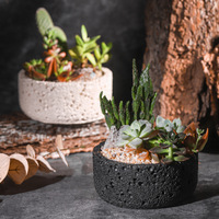 Pots à succulentes en ciment texturé, best-sellers transfrontaliers pour la région nordique ; Jardinières créatives respirantes pour bureau