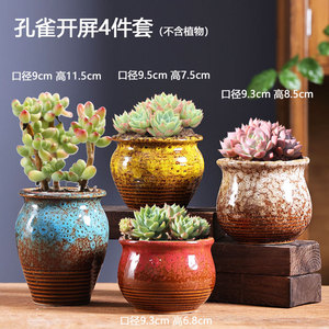 Maceta Artesanal 3D con Forma de Flor de Casa de Dibujos Animados JM, con Múltiples Estilos para Plantas Verdes - Product Image 4