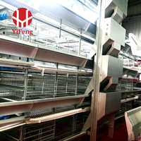 Cage à batterie pour poulets de chair de type H, 3 niveaux, avec plancher en plastique, alimentation et abreuvement automatiques, bande transporteuse pour fumier, OEM, en acier galvanisé