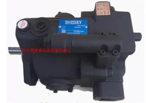 Pompa a pistoni YEOSHE AR16FR01CK10Y BKY 22Y Y - Product Image 2