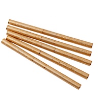 Ensemble de pinceaux à liner pour ongles Qianya OEM, double embout, avec manche en métal doré de 5/8/12/20/25 mm, poils en nylon.
