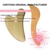 Thérapie du bois méridiens ferraille Gua Sha réflexologie des pieds Acupuncture bâton de Massage application visage corps outil de Massage lymphatique