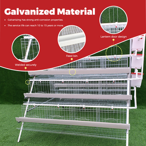 Cages à poules pondeuses à faible coût de type 3/4 niveaux, pour l'élevage avicole en batterie - Product Image 2