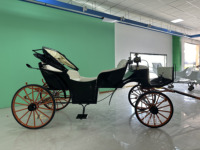 Voiture électrique silencieuse de tourisme, charrette rétro à chevaux pour la visite des paysages urbains