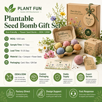 Kit de culture de Myosotis en gros avec bombe de semences et tablette de terreau pour boîte cadeau de jardinage e-commerce