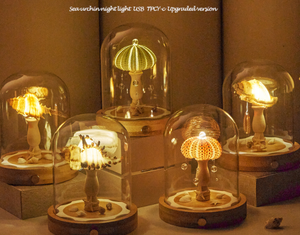 מעטפת זכוכית בהשראת ים קיפוד ים-מנורת חוט - Product Image 5