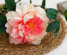 สีชมพูอ่อน