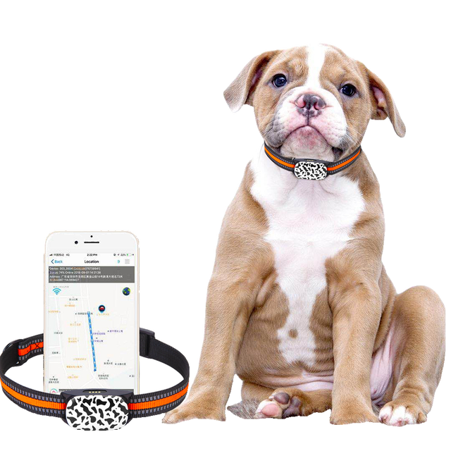 GPS Tracker for Dogs & Cats Nylon IP67 Waterproof Smart Collar with Real-Time Tracking No Monthly Fee