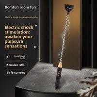 Accessoires pour adultes : Bâton et fouet électriques à intensités réglables, pour la punition BDSM, l'entraînement et les jeux SM