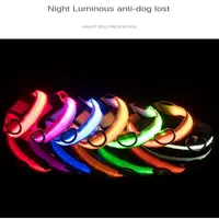 Collier lumineux rechargeable par USB pour chien Collier lumineux clignotant pour extérieur Marche de nuit Fournitures de sécurité