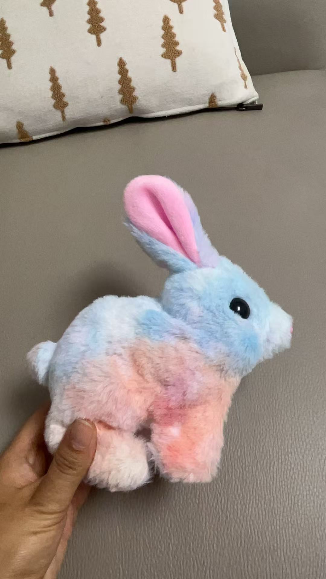 Rainbow rabbit
