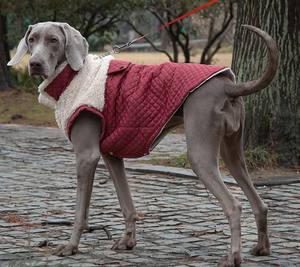 Accessoires pour animaux <span class=keywords><strong>de</strong></span> compagnie, vêtements d'hiver pour animaux <span class=keywords><strong>de</strong></span> compagnie, vêtements pour chiens personnalisés, vestes en velours pour chiens, vêtements pour animaux <span class=keywords><strong>de</strong></span> compagnie coupe-vent, accessoires pour chiens - Product Image 2