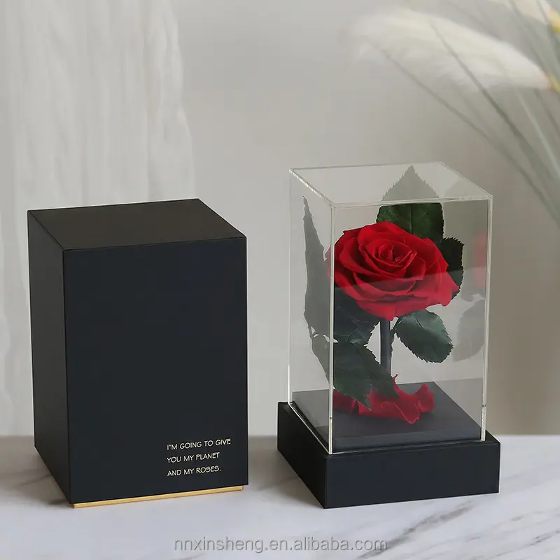 Stabilized preserved rose in acrylic box 2023 valentines forever rose decor factory price preserved rose box