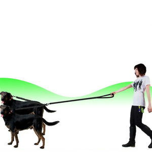 Correa retráctil doble para perros, <span class=keywords><strong>Collar</strong></span> de arnés ajustable para mascotas para dos perros para caminar o correr, accesorios de caza para mascotas - Product Image 5