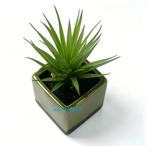 Mini plante artificielle Yucca, <span class=keywords><strong>herbe</strong></span> épée pointue dans un pot en céramique émaillée craquelée, verdure hautement réaliste pour la décoration de bureau et de la maison - Product Image 2