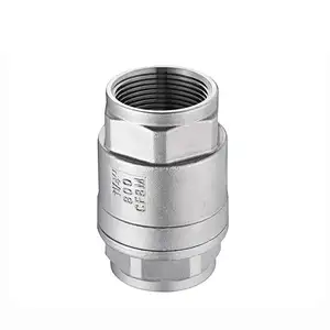 Cost Effective DN15 1/2 Inch 200 WOG BSP Thread Spring Loaded Vertical Lift Type Stainless Steel Inline Non Return Check Valve