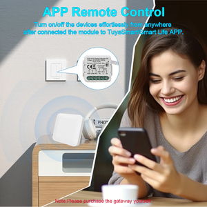 Módulo de Interruptor Inteligente ZigBee3.0 de 2 Canales, Contacto Seco Inteligente, Interruptor Universal de 5A, Relé, DC 12/24V AC 100-240V - Product Image 2