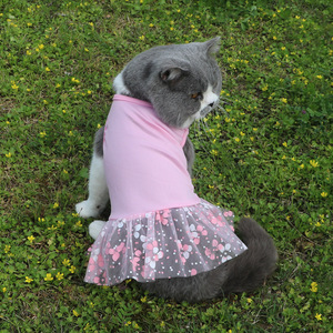 Vestido para gatos, falda de malla rosa, SML, ropa transpirable para primavera y verano para gatos y perros - Product Image 1