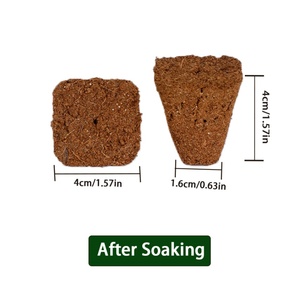 Esponjas de Coco para Cultivo, Esponjas de Inicio para Clonación de Plantas, para Flores y Vegetales, Multiplicación Saludable de Raíces, 72 Unidades - Product Image 2