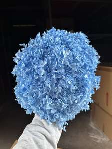 Ortensie Essiccate Naturali all'Ingrosso 55-65cm per Decorazioni da Tavolo Casa/Matrimonio Capodanno Cinese Fiori Decorativi - Product Image 4