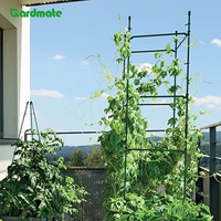 Treillis d'escalade en plastique carré pour plantes grimpantes, légumes, fruits, fleurs, support de plante