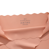 Bikini sans couture pour femmes OEM 2025, sous-vêtements sexy, bikini taille basse, culotte respirante pour femmes, culottes, sous-vêtements