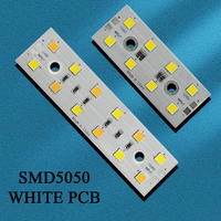 Module LED à puce SMD 12V de haute qualité 70*28mm 105*28mm 180-200lm/W Puce LED haute puissance Bridgelux utilisée pour la lumière de capot de voiture