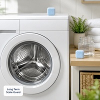 Tablettes nettoyantes pour lave-linge avec logo personnalisé et marque privée pour les propriétaires de marques de détail