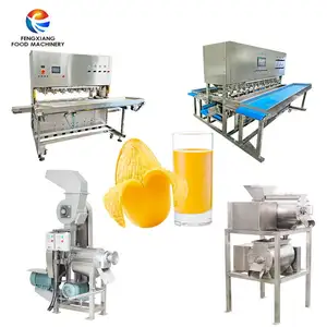 Elektrische Multifunctionele Fruitpulper Machine Industriële Passievrucht Mangosap Extractie Machine Voor Fruitverwerking