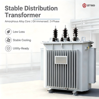 Transformateur de distribution de puissance triphasé immergé dans l'huile, bobinage en cuivre pur Dyn11, 10 kV 0,4 kV, sur mesure par le fabricant