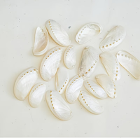30 Coquilles d'ormeaux argentées - De 1,6 à 2,4 pouces - Idéales pour la décoration de plage côtière - Décoration de maison de plage