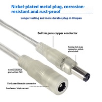 Câble de connexion LED transparent personnalisé en gros, 5,5 mm, mâle-femelle, courant 5A, alimentation CC pour chauffage aérien