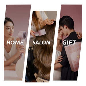 Professionele Draagbare Metalen Föhn Hete Temperatuur Instellingen Best Verkopende Sneldrogende Ionische Föhn Voor Hotels Concentrator - Product Image 6