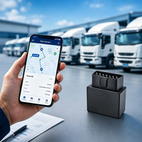 Mini traceur GPS 4G pour voiture avec interface OBD, Plug & Play, gestion de flotte, visualisation sur PC, suivi de position en temps réel