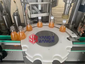Machine automatique de remplissage et de capsulage de liquide de boisson de bouteille en plastique de 6 têtes pour la ligne de production de jus