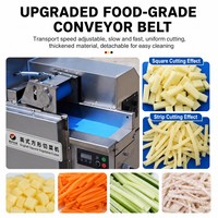 Industriële fruit- en groentesnijmachine, automatische snijder voor aardappelchips en -reepjes
