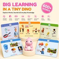 DB03 Lecteur interactif Montessori sur le thème des dinosaures, cartes cognitives pour l'éducation précoce des enfants, jouets lecteurs interactifs