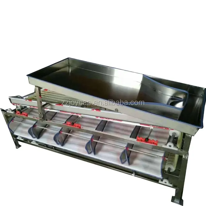 Stainless steel Mango Shaddock grader device Kiwi blueberry sorting processing machine Fruit size separator machine