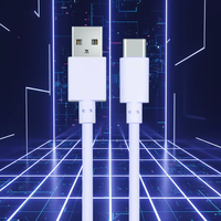 Kabel Data Pengisian Cepat 3A/5A Tipe-C ke USB-A Tembaga Murni Grosir 1m/2m untuk Ponsel, Power Bank, Komputer