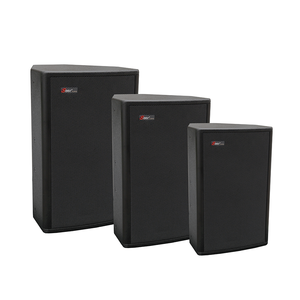 <strong>AR</strong>-8 8inch Professional Stage <strong>Speaker</strong> 150W RMS 8 Ohms 65Hz-18KHz Frequency Response 300W Peak Power High Quality - Product Image 2