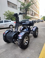 Meilleur Prix 2026 Quad à Quatre Roues Tout-Terrain Longue Portée Haute Vitesse pour le Golf