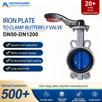Vanne papillon hydraulique à double fixation en fonte ductile HY, plaque verticale en acier inoxydable, joint souple, pour fluides aqueux