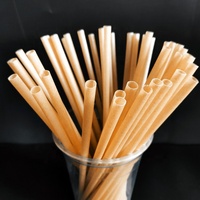 Pailles à boire jetables biodégradables en PLA écologiques Bubble Tea Cuisine Noël Halloween Ecolife PST