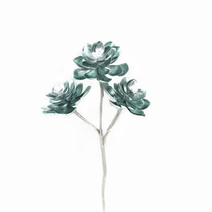 Gran tamaño Artificial <span class=keywords><strong>Echeveria</strong></span> planta suculenta para la decoración de Navidad único suculentas - Product Image 5
