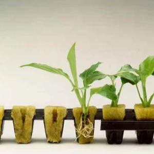 Sementi di Pomodoro per Coltivazione Idroponica in Torre per Serre Agricole Shengding, con Cotone Minerale di Roccia per Semenzai di Verdure Piccole - Product Image 5