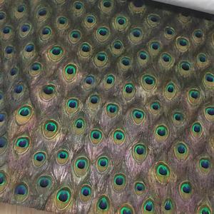 <span class=keywords><strong>Papier</strong></span> <span class=keywords><strong>peint</strong></span> design <span class=keywords><strong>de</strong></span> luxe en plumes <span class=keywords><strong>de</strong></span> <span class=keywords><strong>paon</strong></span>, revêtement décoratif d'intérieur, nouvelle collection - Product Image 1