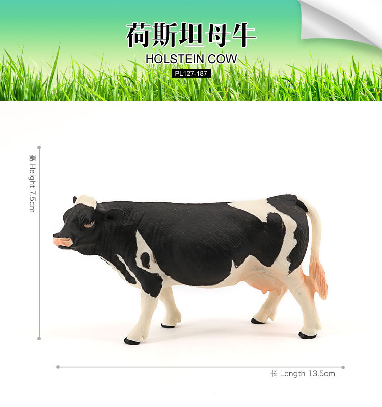 187 Taureau Holstein