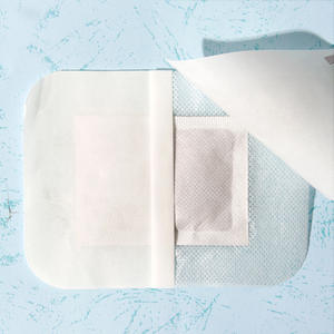 Parche de Pies de Rosa Herbal Tradicional China, Medicina Tradicional China, Nutrición y Desintoxicación, Mejora el Sueño - Product Image 5